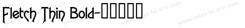 Fletch Thin Bold字体转换